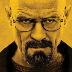 Bryan Cranston Really Wants To Play Walter White Again – Sick Chirpse