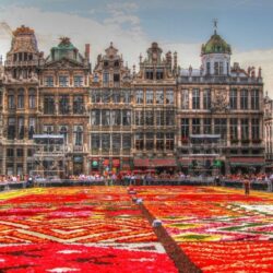 Flower Carpet