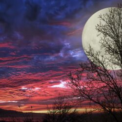 Super Moon Hd Wallpapers For Mobile Phones And Laptops