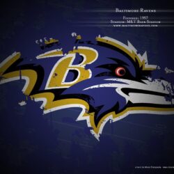 87 Baltimore Ravens HD Wallpapers