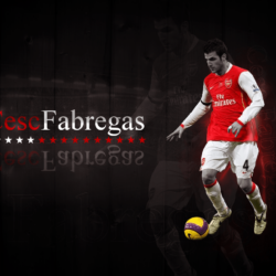 Cesc Fabregas Wallpapers