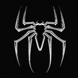 HD Collection Spider Wallpapers