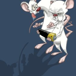 Pinky And The Brain Wallpapers 86607