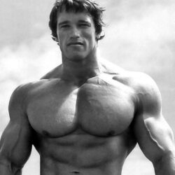 Image For > Arnold Schwarzenegger Wallpapers