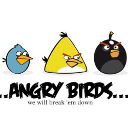 40 Mind Blowing Angry Birds Wallpapers