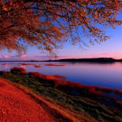 Lakes: Sunset October Riga Latvia Grass Lake Red Wallpapers for HD