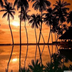 Hawaiian Beach Sunset Reflection HD desktop wallpapers : High