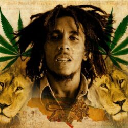 Image For Bob Marley Rasta Wallpapers 2014
