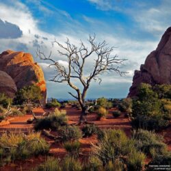 Arches National Park Picture – Travel Wallpapers