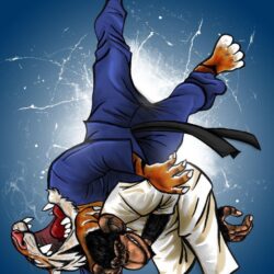 judo wallpapers