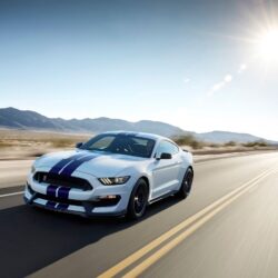 Shelby Ford Mustang GT350 Wallpapers
