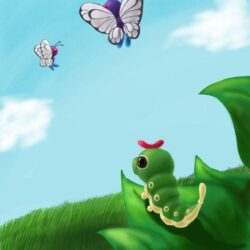 Caterpie and Butterfree
