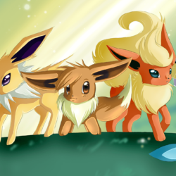 34 Eevee