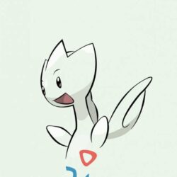 Togetic