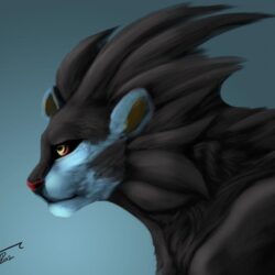 Luxray by Chaotic