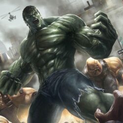 Wallpapers For > The Incredible Hulk Wallpapers