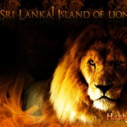 My Sri Lanka – Wallpapers to Download