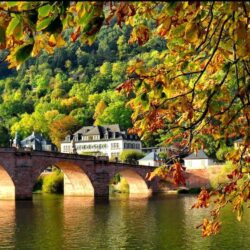 Heidelberg Tag wallpapers: Old Bridge Place Foliage Shore Lake
