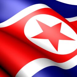 px North Korea Flag