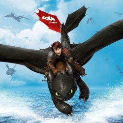 How to Train Your Dragon 2 Wallpapers HD Collection