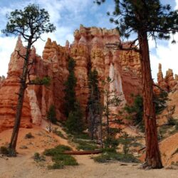 Bryce Canyon National Park Backgrounds → Earth Gallery