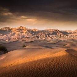 Sunrise Over The Mesquite Flat Sand Dunes