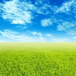Sky And Grass Wallpapers Desktop Backgrounds