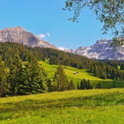 Summer Meadow Swiss Alps Wallpaper, iPhone Wallpaper, Facebook