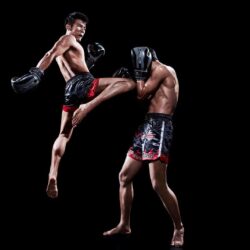 Download Wallpapers Muay thai, fight, sports, black