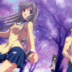 Clannad Wallpapers and Backgrounds Image