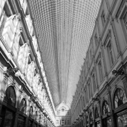 Black, And, White, Architecture, Shops, Brussels, Hd Grayscale