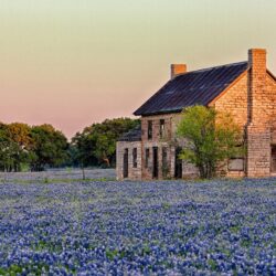 Free Texas Screensavers and Wallpapers