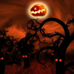 40 Sizzling Halloween Wallpapers