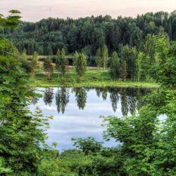 Wallpapers Estonia Rouger HDRI Nature Lake Forests