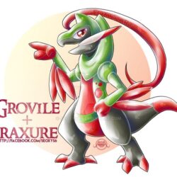 Grovile X Fraxure by Seoxys6