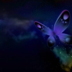 FunMozar – Most Beautiful Butterfly Wallpapers