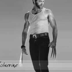 Wolverine