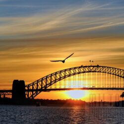 Beautiful Sunset at Sydney Harbour Bridge Australia 4K Wallpapers