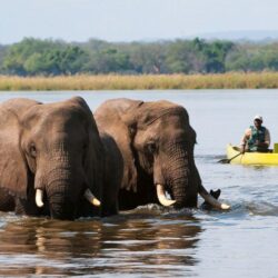 Lower Zambezi National Park and Lodges