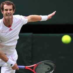 Andy Murray Latest Full HD Wallpapers And Image
