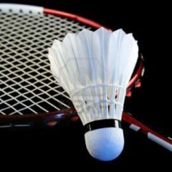 Awesome Badminton HD Wallpapers Free Download