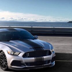 ford mustang shelby gt350 wallpapers pictures