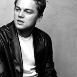 leonardo dicaprio wallpapers 1/6