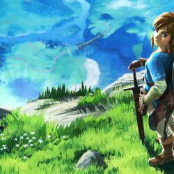 The Legend Of Zelda: Breath Of The Wild wallpapers Full HD