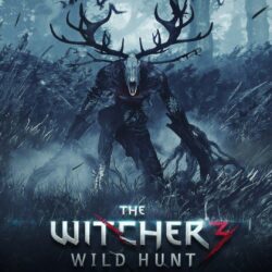 amazing the witcher 3 wild hunt wallpapers