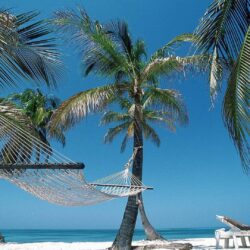 Haiti Tag wallpapers: Hiati Haiti Palm Beach Hammock Relaxing Tree