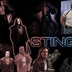 wallpapers sting