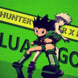 Hunter x Hunter Gon and Killua Wallpapers