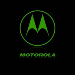 Download Motorola Green wallpapers to your cell phone