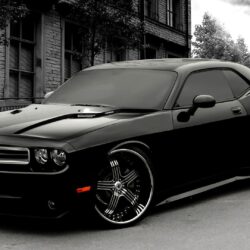Amazing Dodge Challenger HD Wallpapers Wallpapers Themes